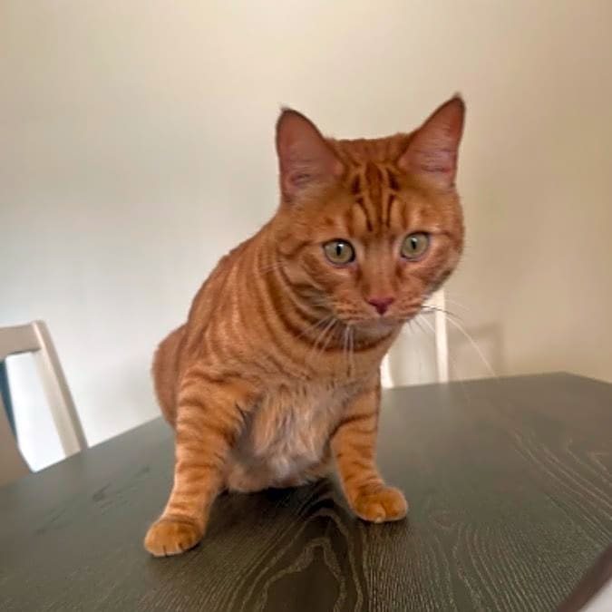 Photo of Oliver