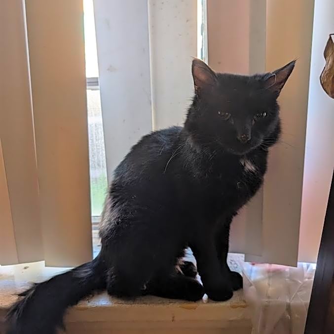Photo of WInnie