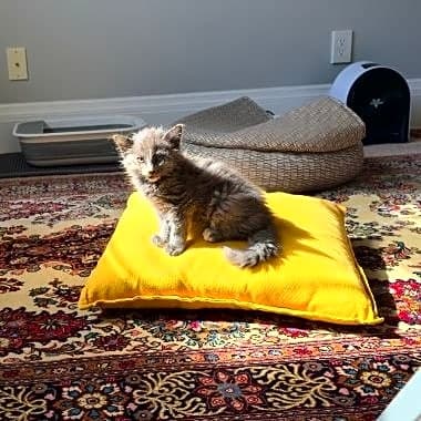 Photo of Misha