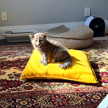 Photo of Misha