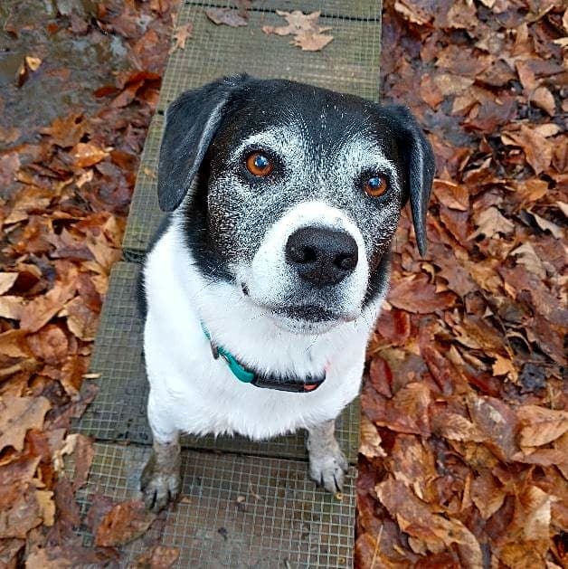 Photo of Jack