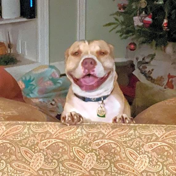 Photo of Rosie