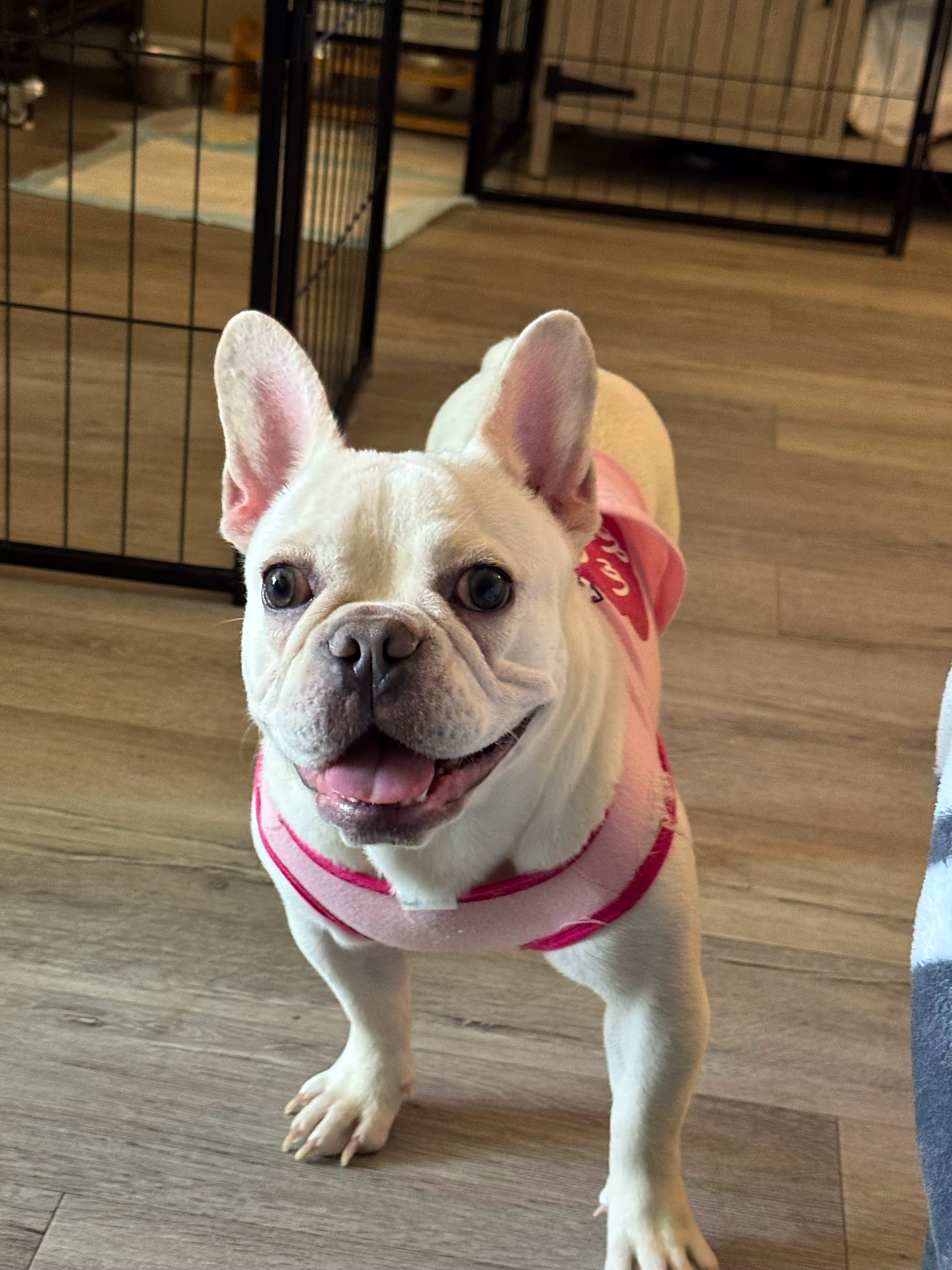 Photo of Chloe