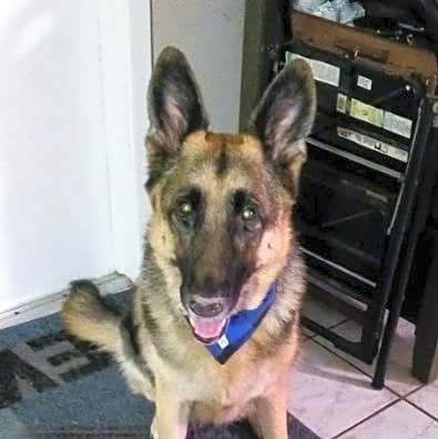 Photo of Saide