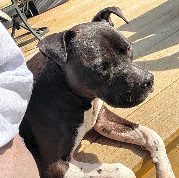 Photo of Bentley