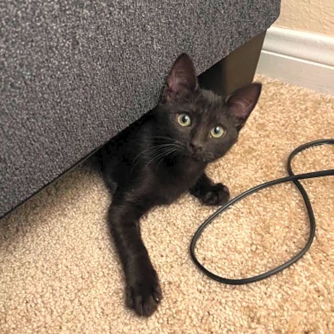 Photo of Silas