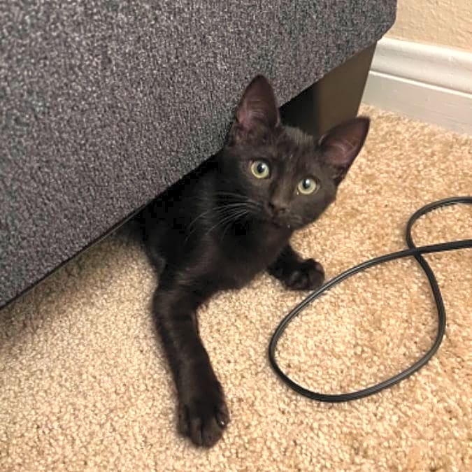 Photo of Silas