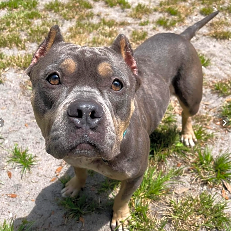 Photo of Stormy