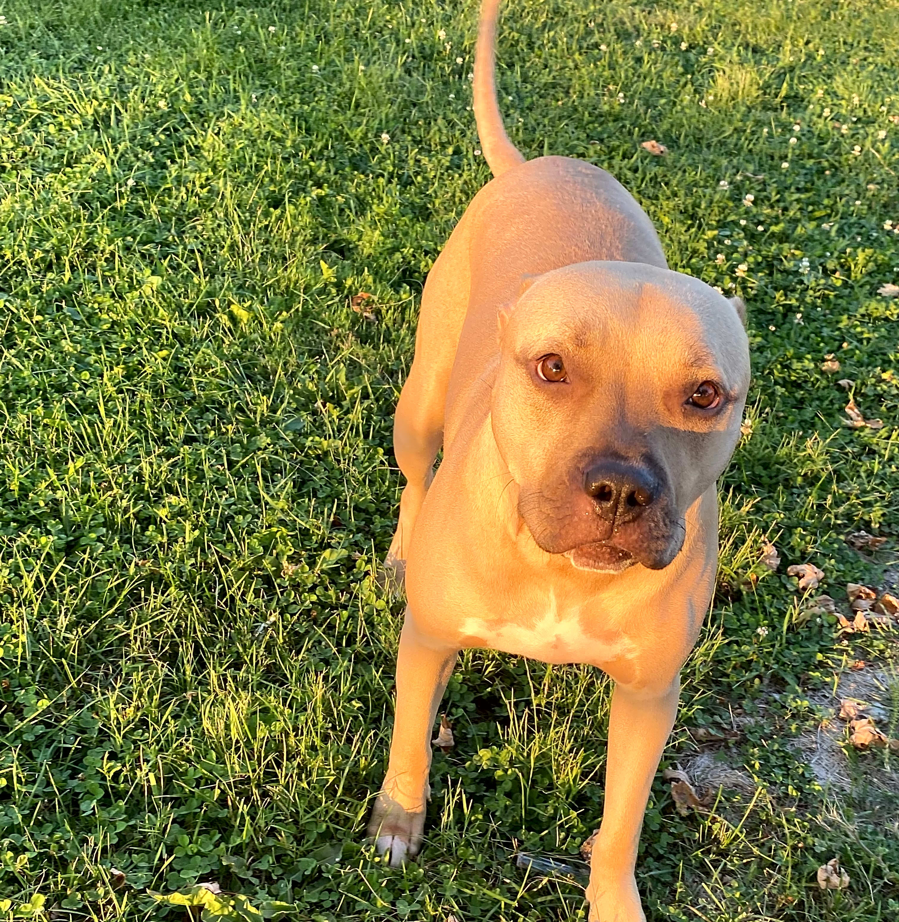 Photo of Hazel