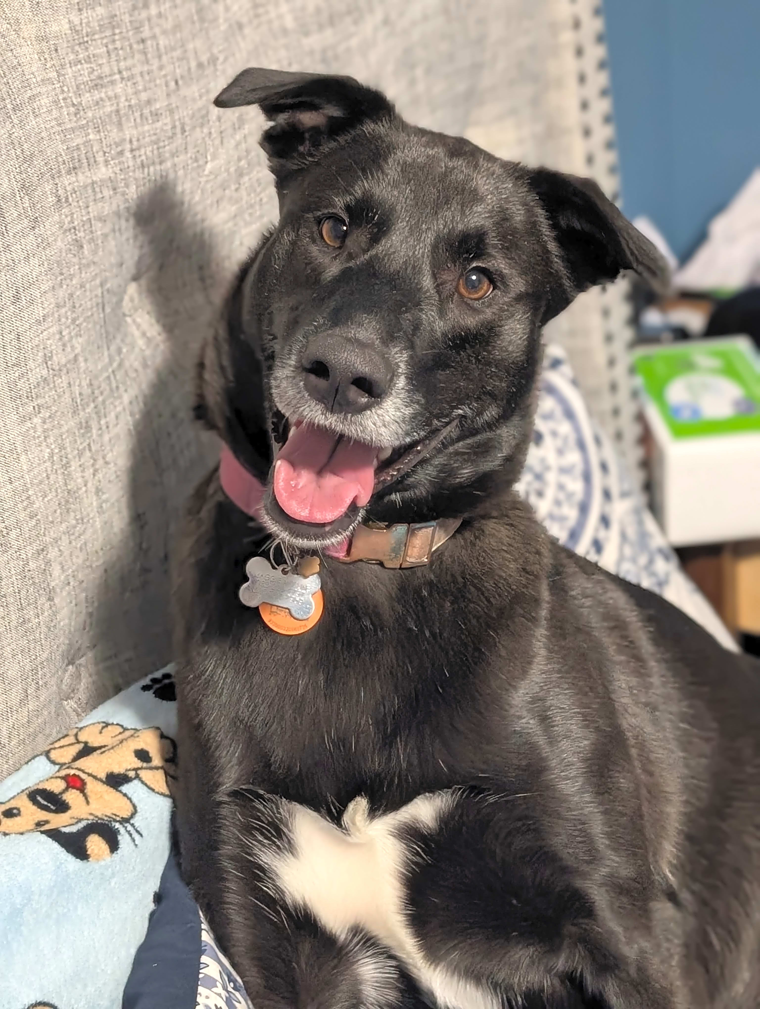 Photo of Maggie