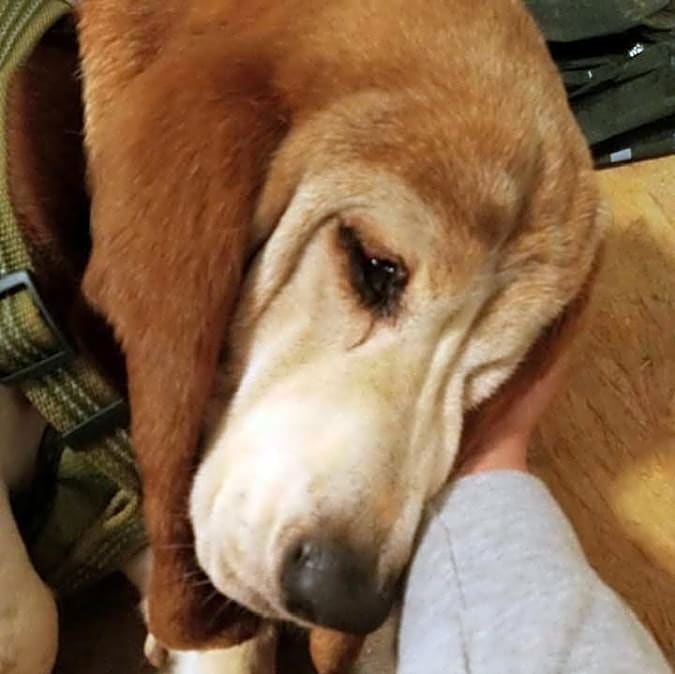 Photo of Gus