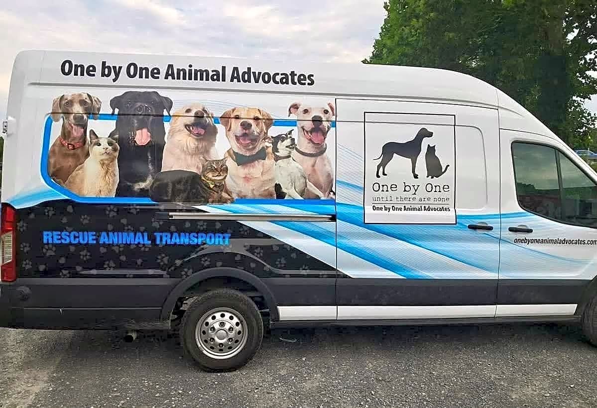 Photo of Transport Van