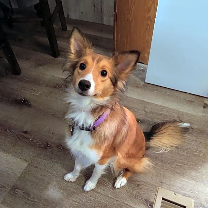 Photo of Maggie Mae