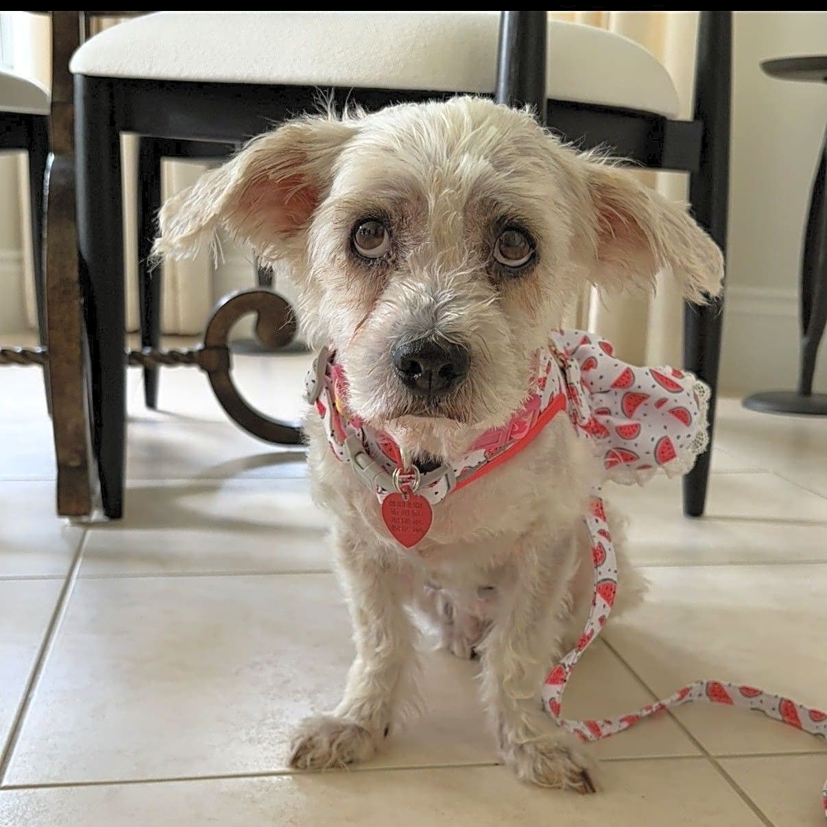 Photo of Betsy