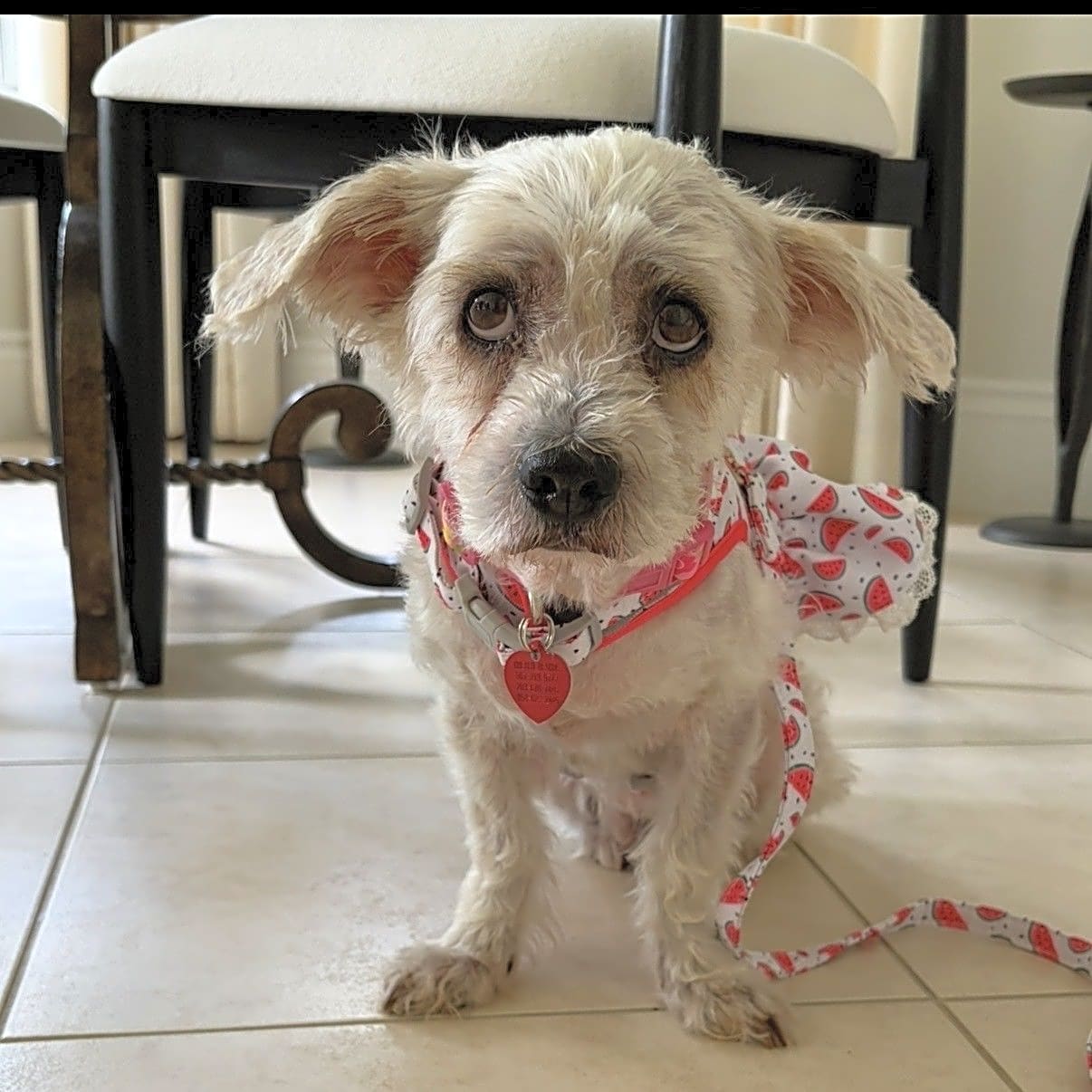 Photo of Betsy