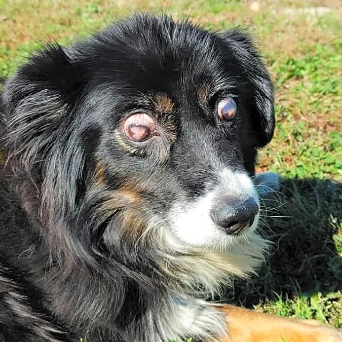 Photo of Lola
