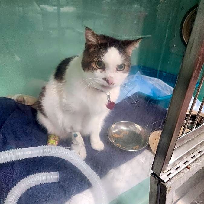 Photo of Kiki