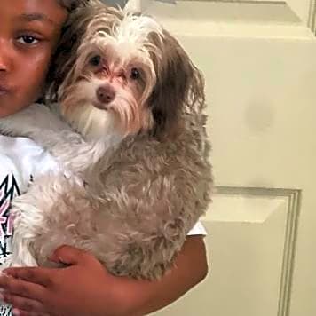 Photo of Harlei Walker
