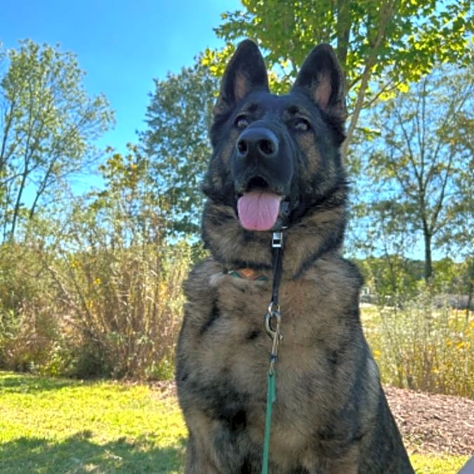 Photo of Mia