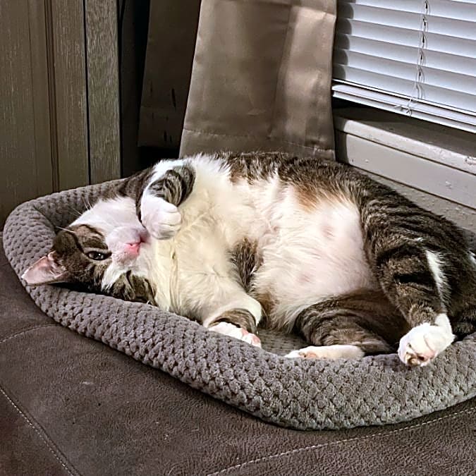 Photo of Pete