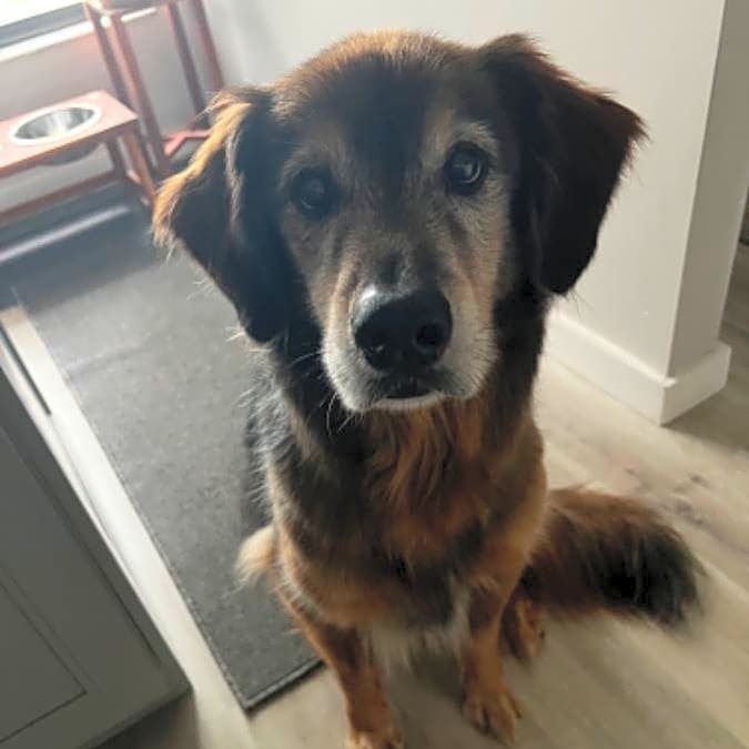 Photo of Bruno