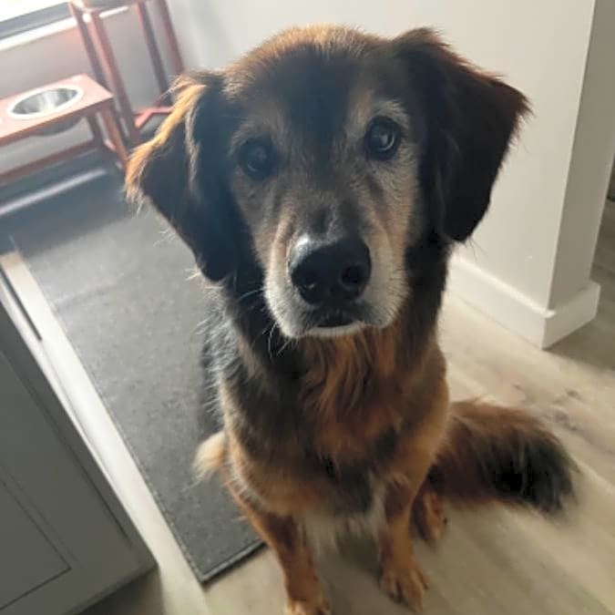 Photo of Bruno