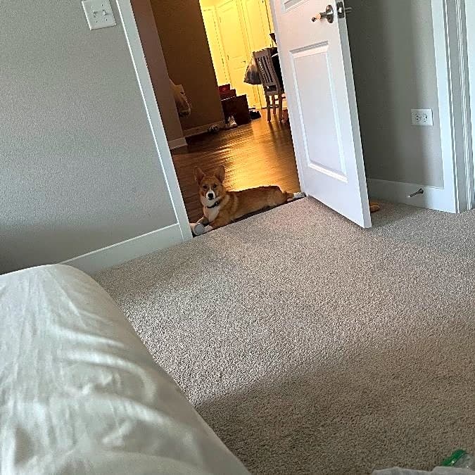 Photo of Winston