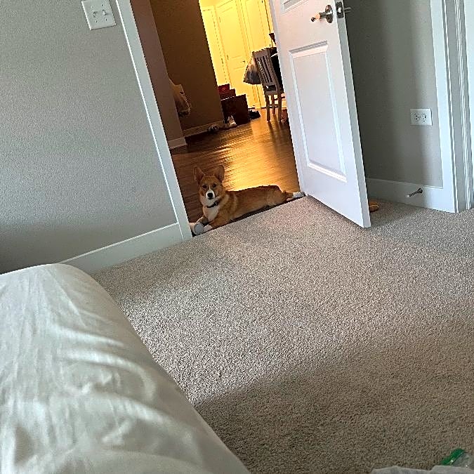 Photo of Winston