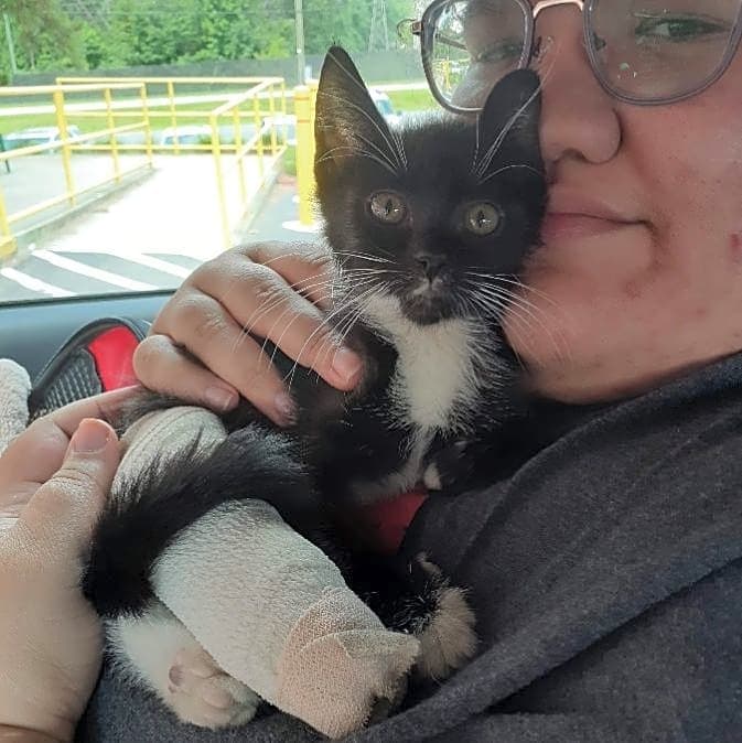 Photo of Oreo