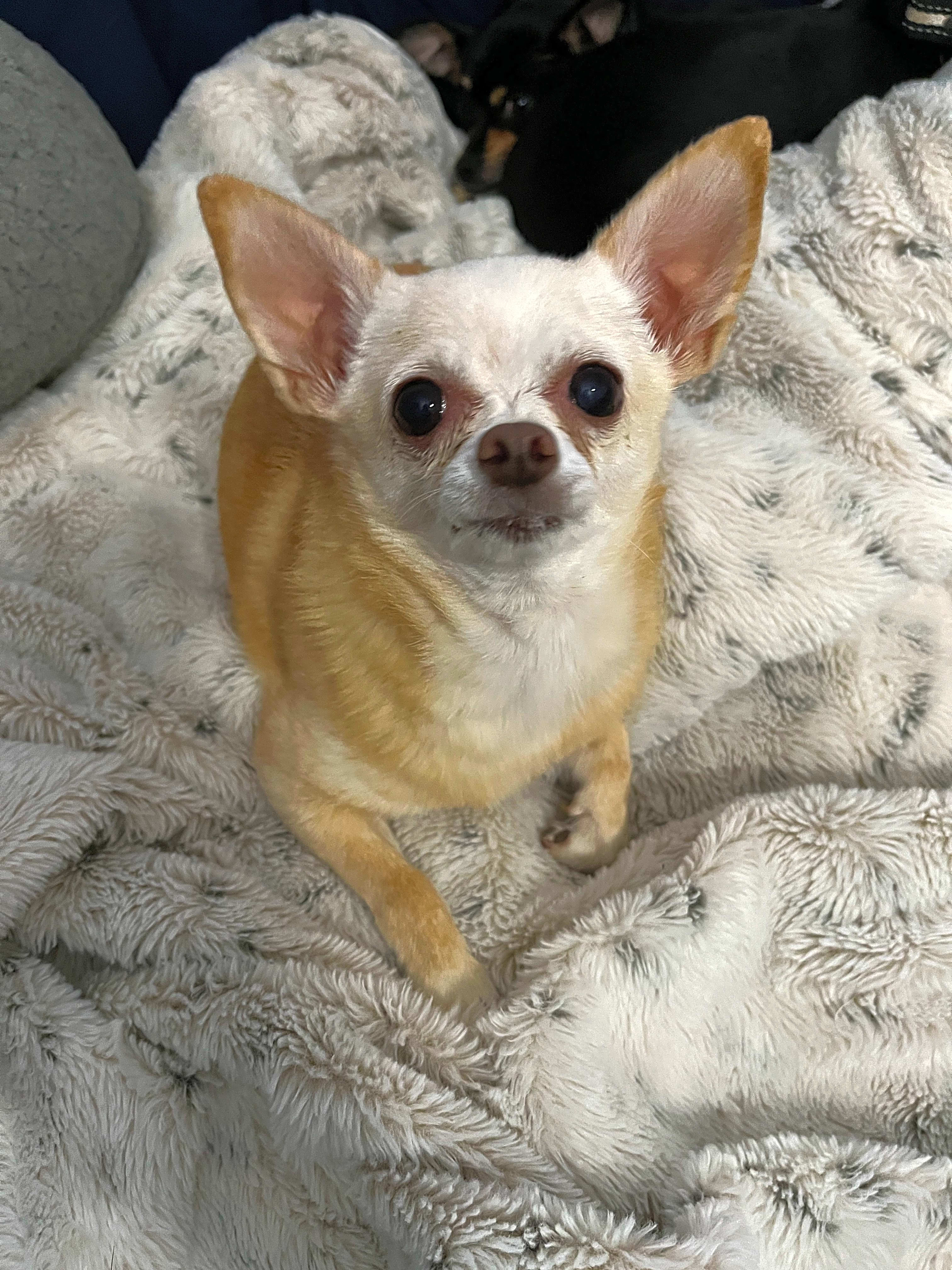 Photo of Missy