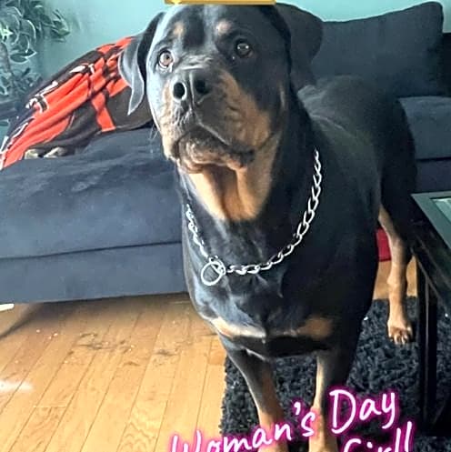 Photo of Nala