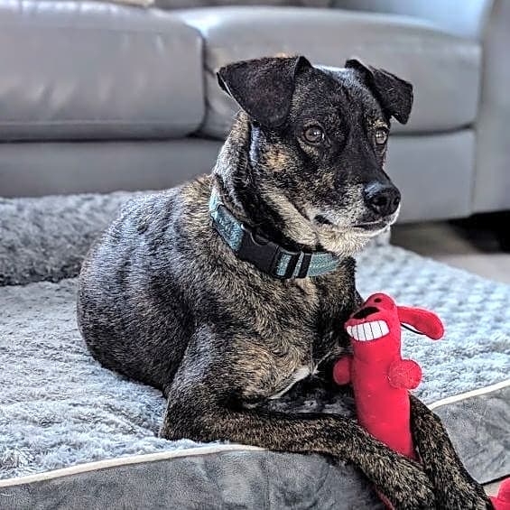 Photo of Lyla