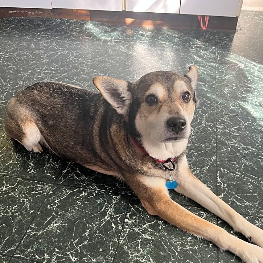 Photo of Zero