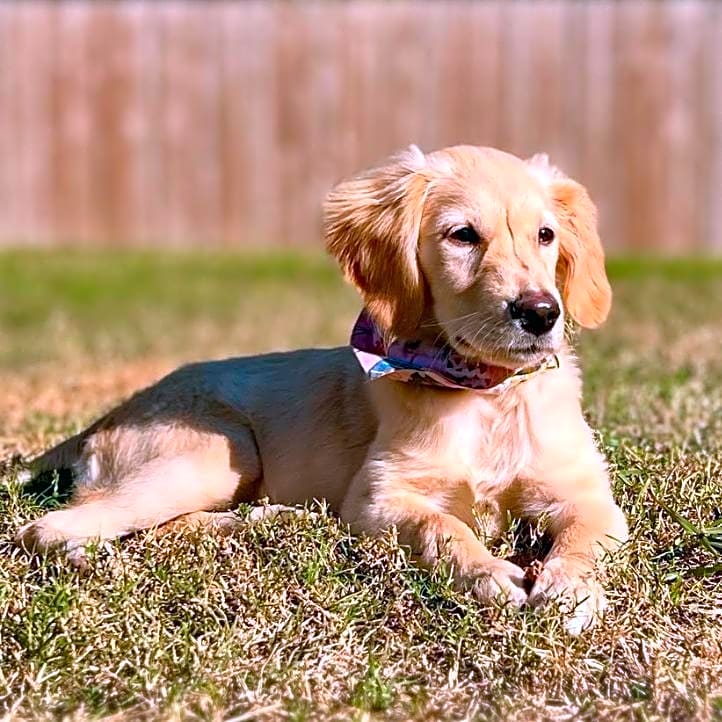 Photo of Millie