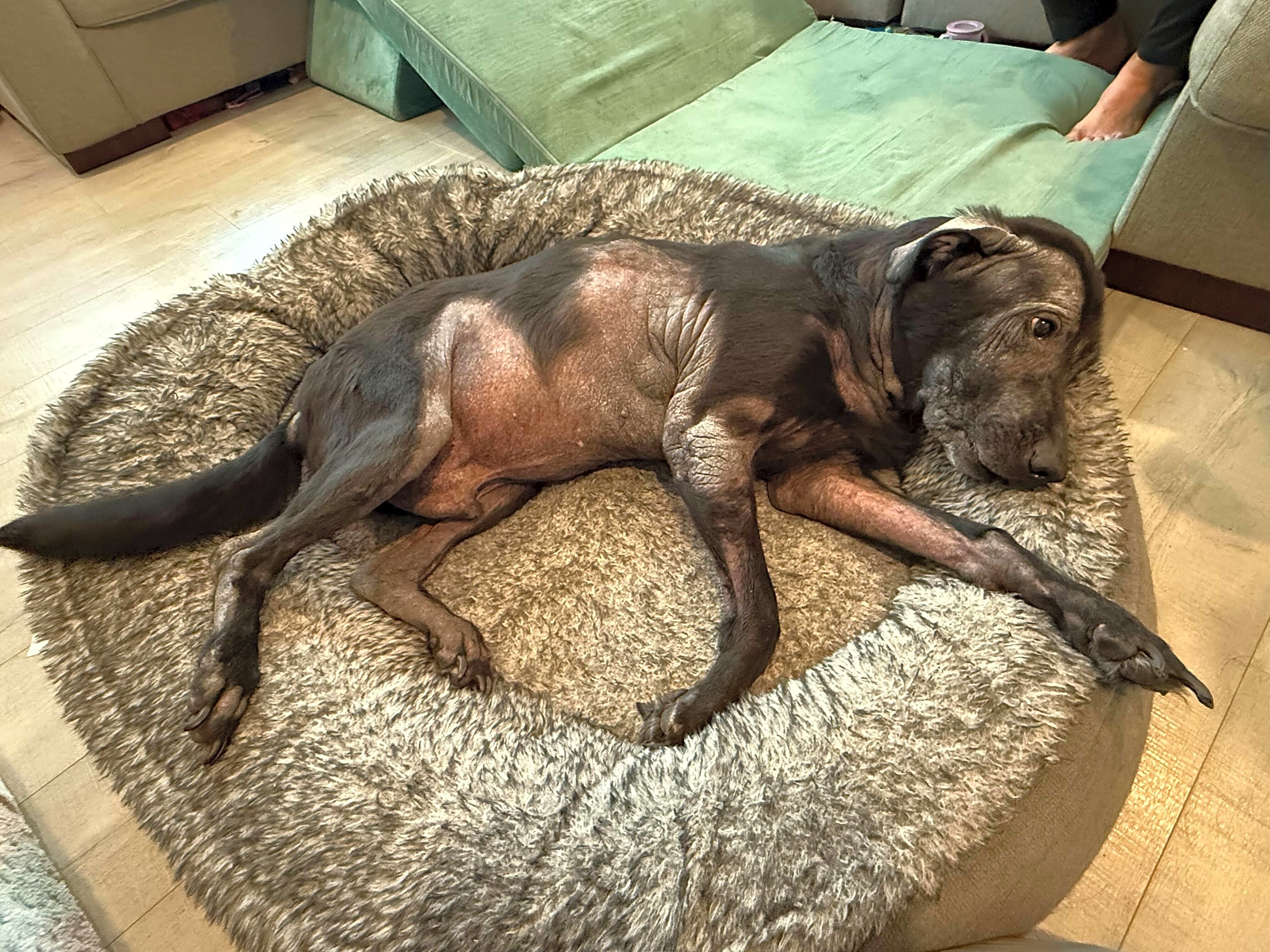 Photo of Max