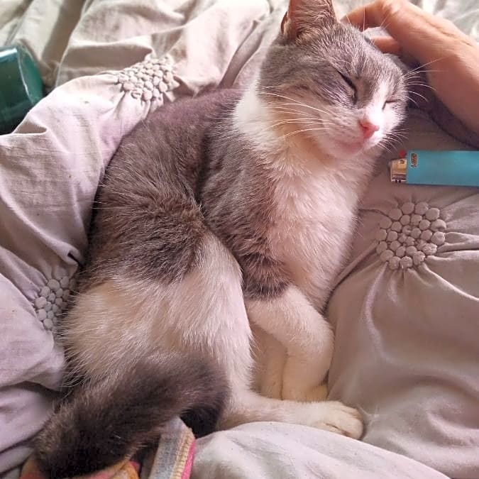 Photo of Persephone