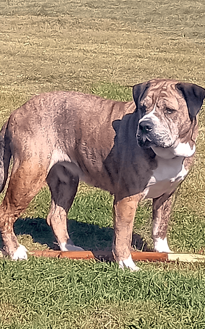 Photo of Winkles