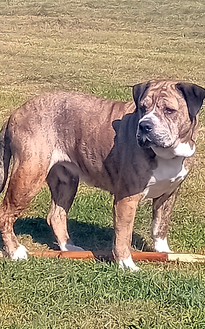 Photo of Winkles