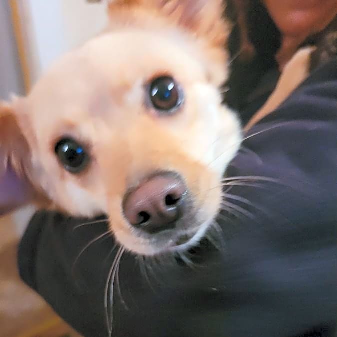Photo of klhoe