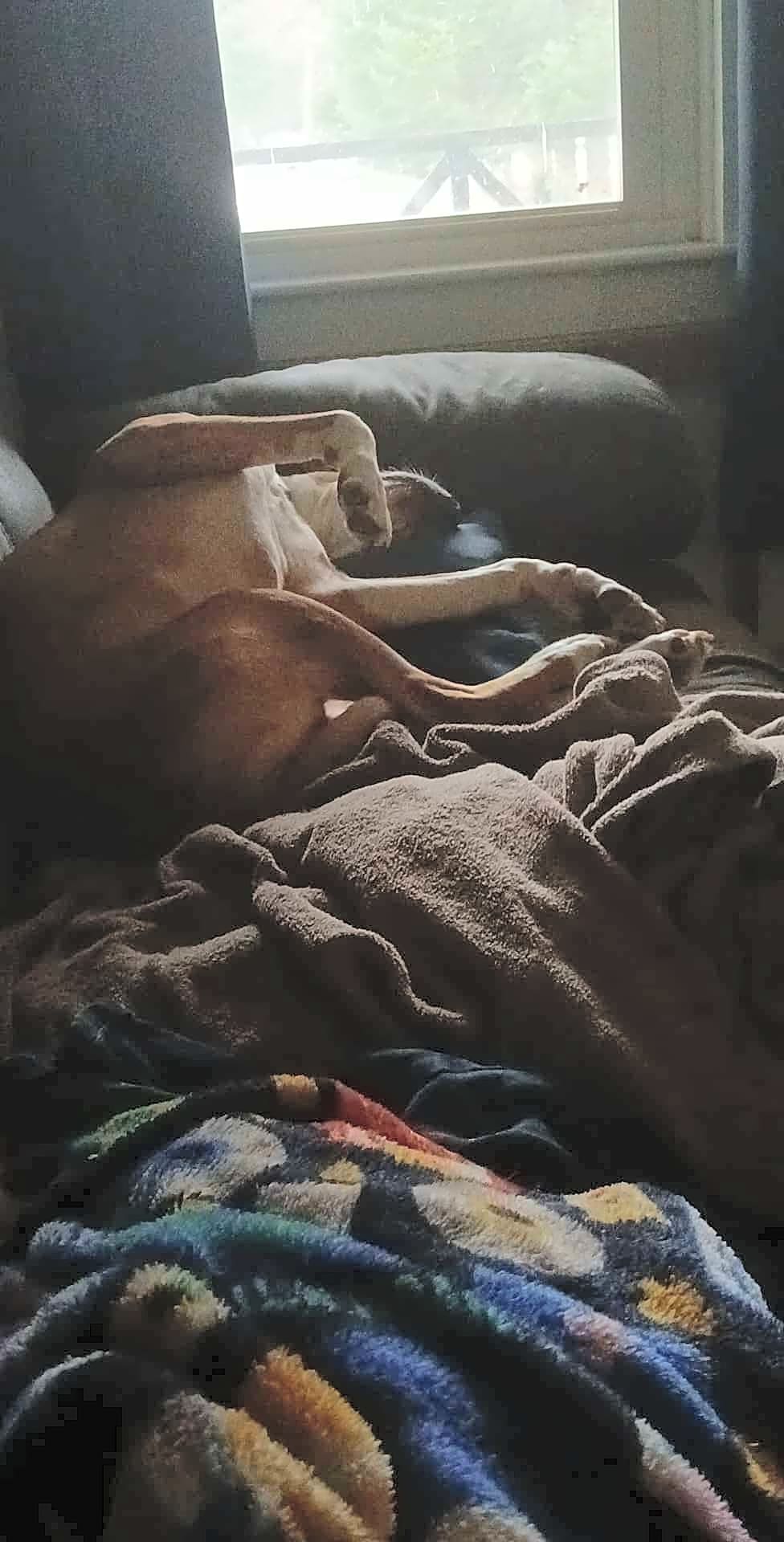 Photo of Sasha