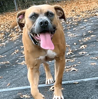 Photo of Maverick