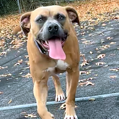Photo of Maverick