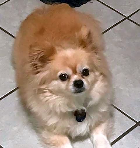 Photo of Jack