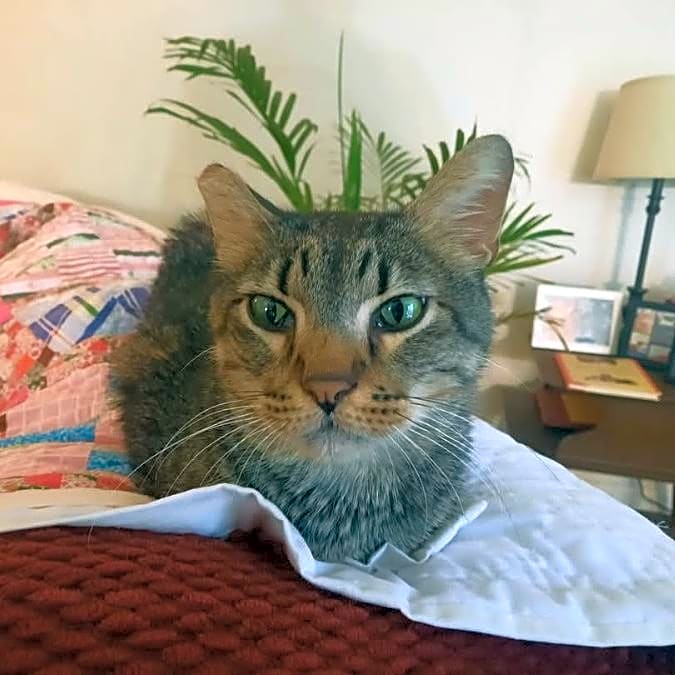 Photo of Peppercorn