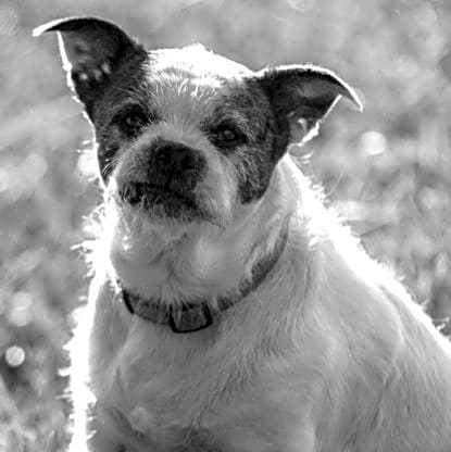 Photo of Sadie Sue Powell