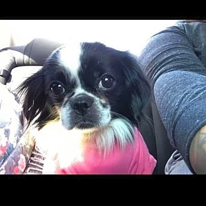 Photo of Khloe