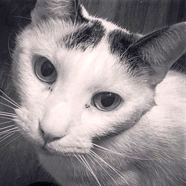 Photo of Bleaker