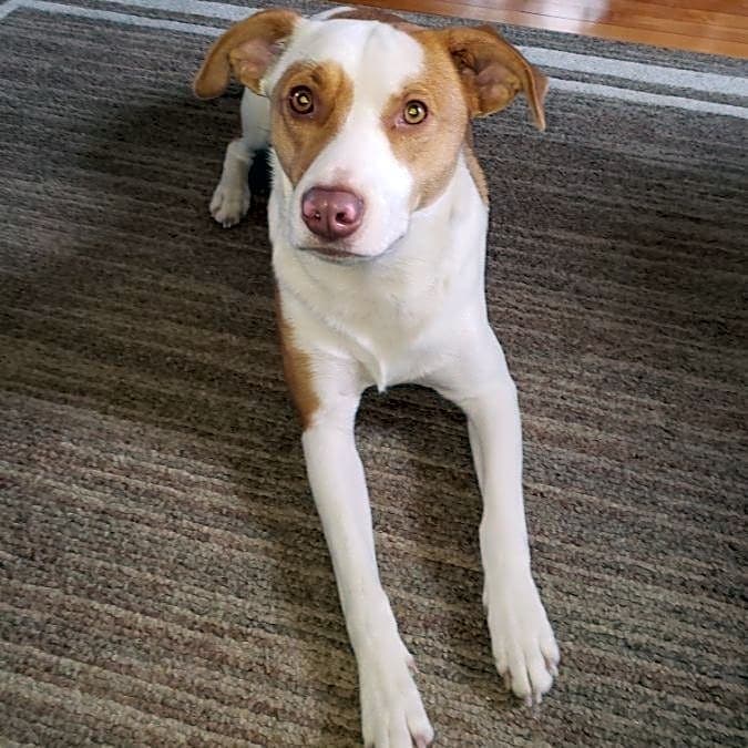 Photo of Fiona