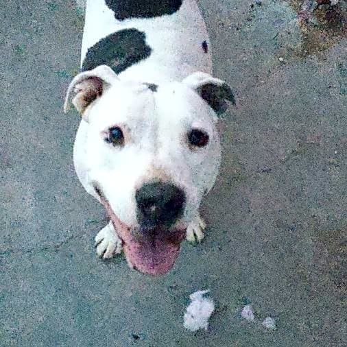 Photo of Lexi