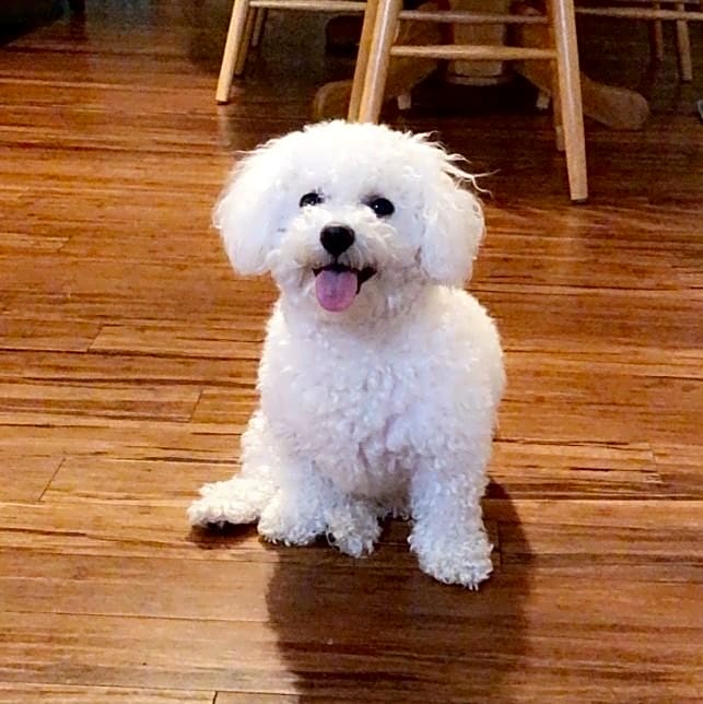 Photo of Cali